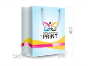 заказать печать Бумажный пакет тираж 100 штук вертикальный А3 формата , размер 300x400x120 мм, бумага 200 г/м² + с ламинацией, установка люверсов и ручки-шнурка